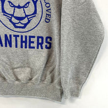 Port Co Women's Crewneck Sweatshirt Panthers Sports Gray Size Youth L Adult XS