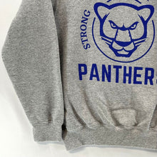 Port Co Women's Crewneck Sweatshirt Panthers Sports Gray Size Youth L Adult XS