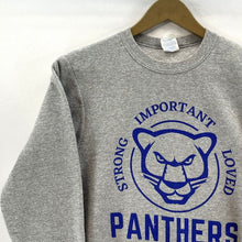 Port Co Women's Crewneck Sweatshirt Panthers Sports Gray Size Youth L Adult XS