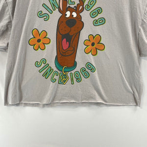 1969 Scooby Doo Design